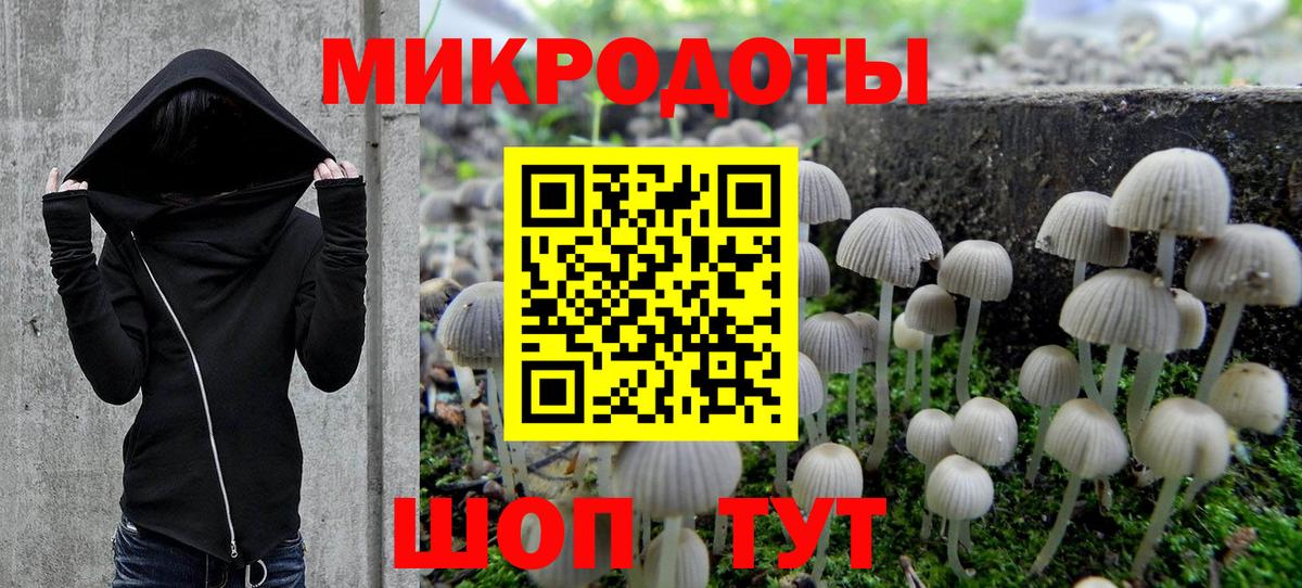 Саянск  Галлюциногенные грибы мухоморы  Галлюциногенные грибы Psilocybine cubensis  Вход с VPN 